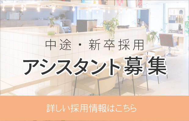 アシスタント募集